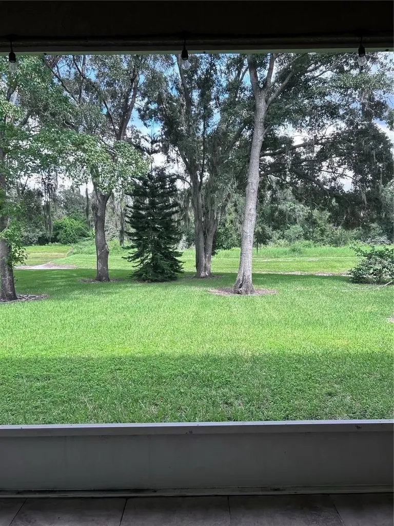 1531 Mccrea Drive Lutz FL 33549