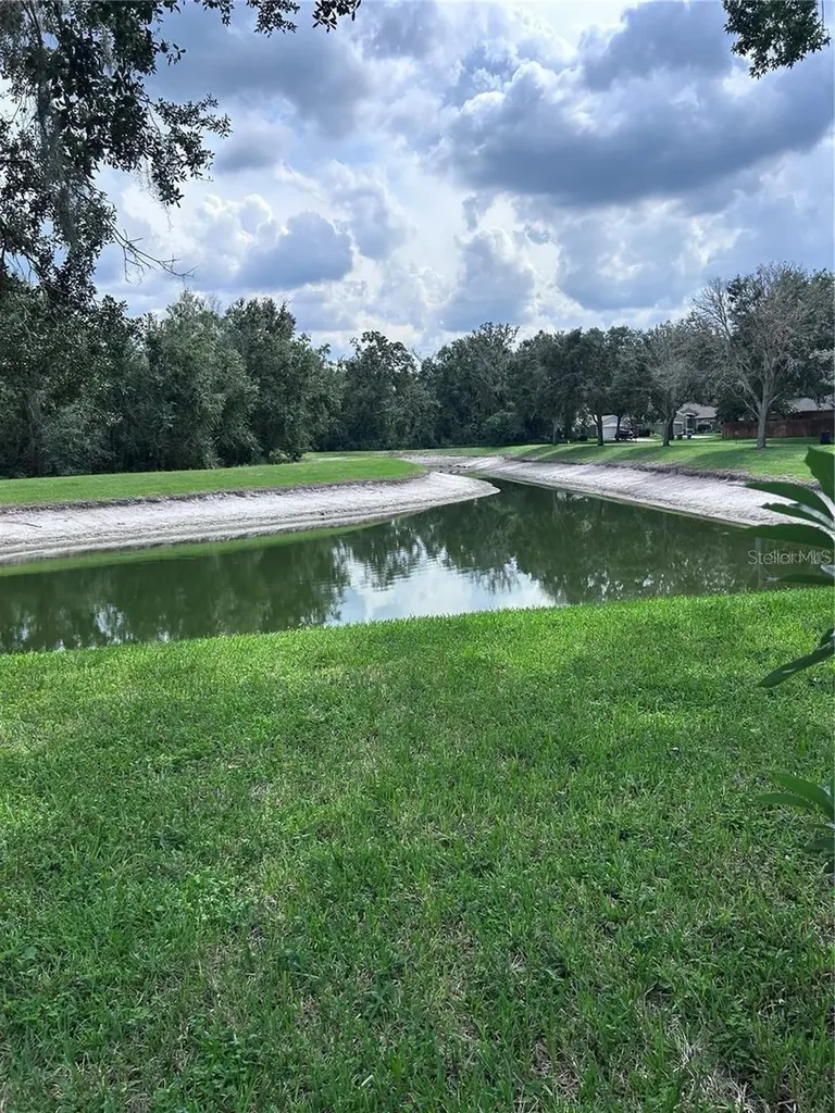1531 Mccrea Drive Lutz FL 33549