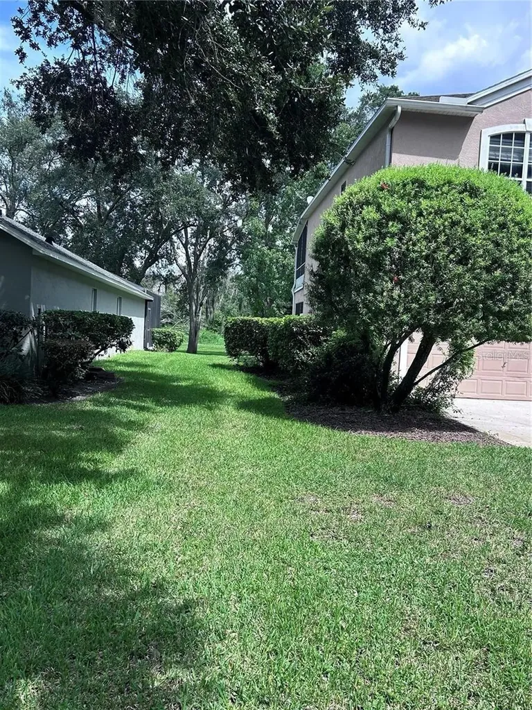 1531 Mccrea Drive Lutz FL 33549