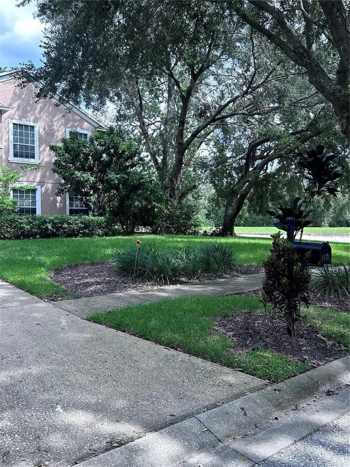 1531 Mccrea Drive Lutz FL 33549