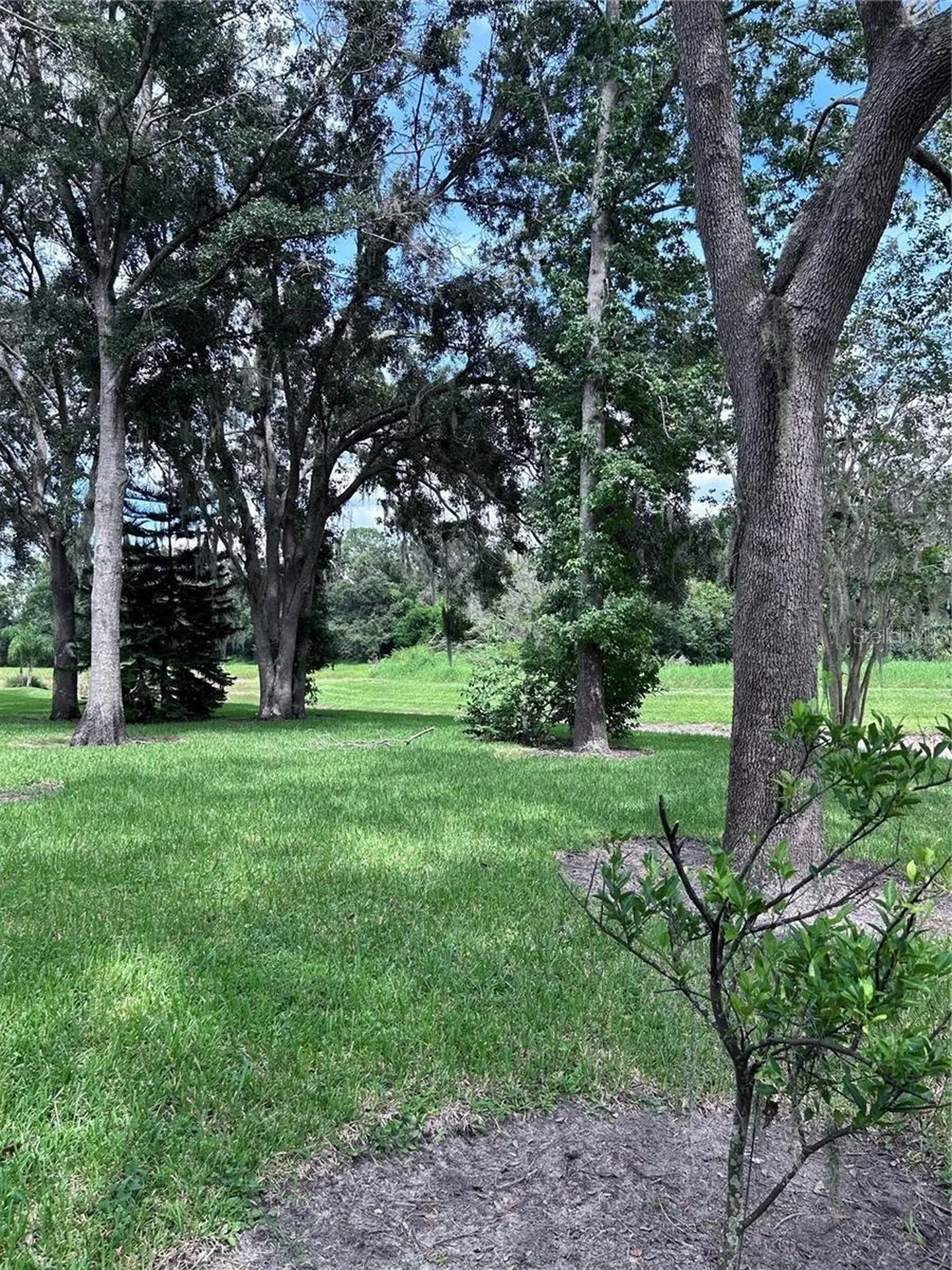 1531 Mccrea Drive Lutz FL 33549