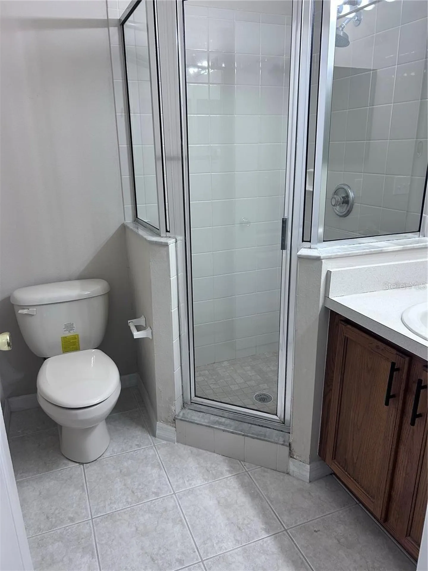 1531 Mccrea Drive Lutz FL 33549