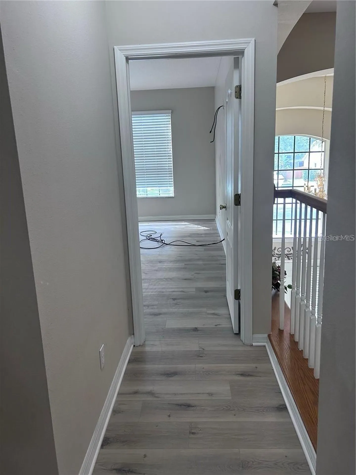 1531 Mccrea Drive Lutz FL 33549