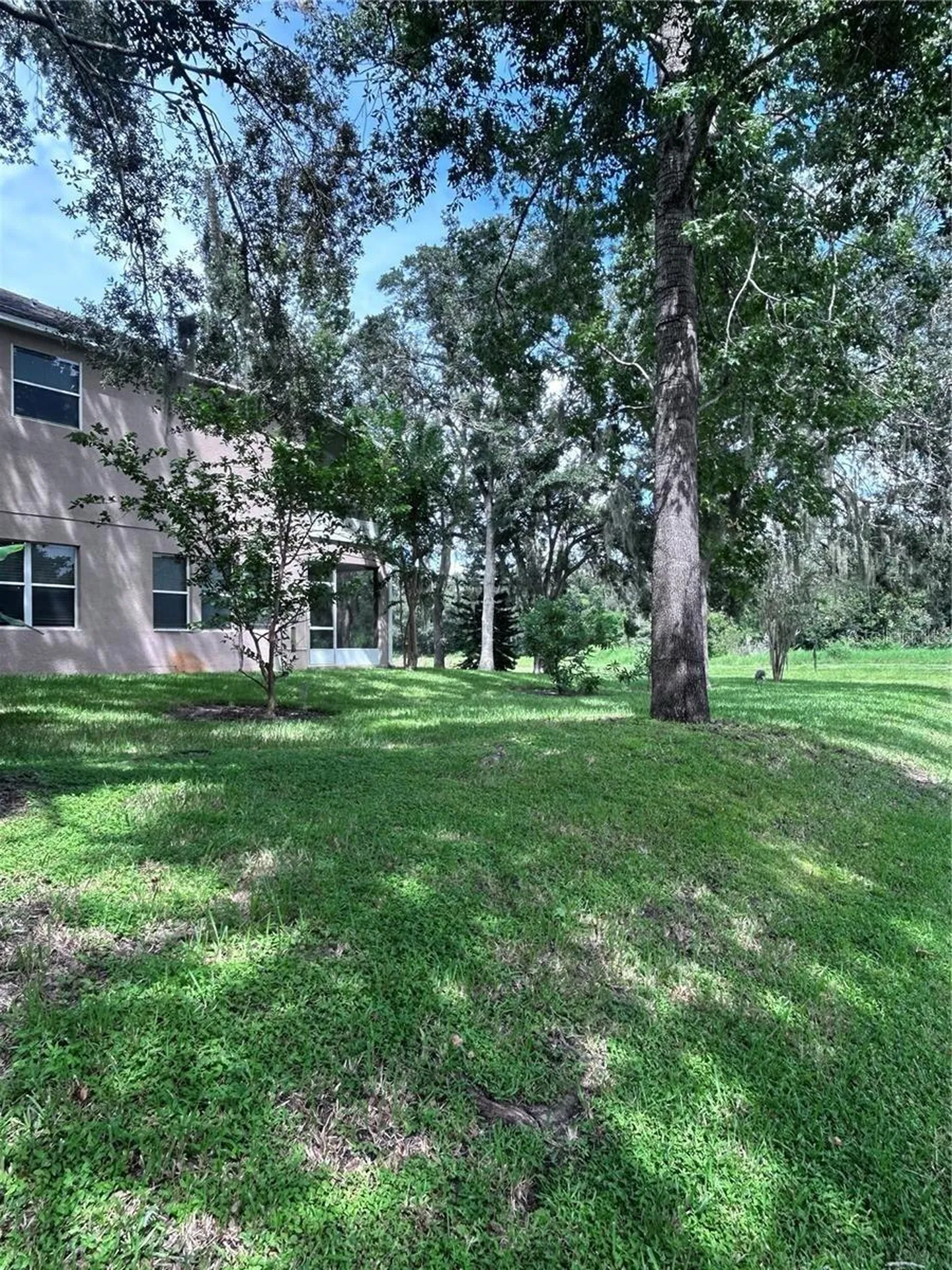 1531 Mccrea Drive Lutz FL 33549