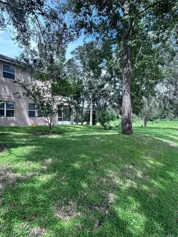 1531 Mccrea Drive Lutz FL 33549