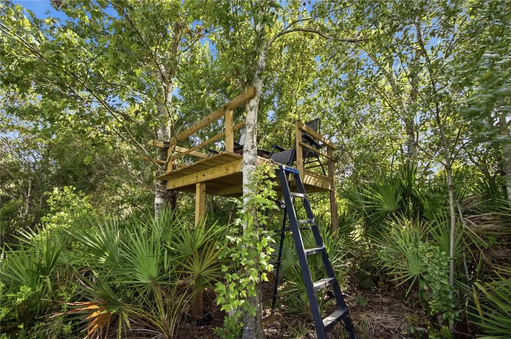 26644 Easy Street Wesley Chapel FL 33544