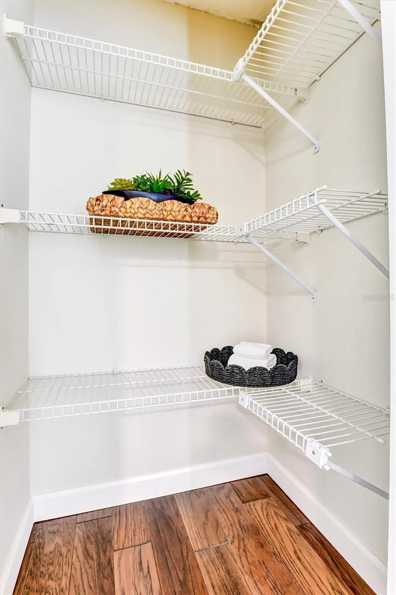11906 Dietz Drive Tampa FL 33626