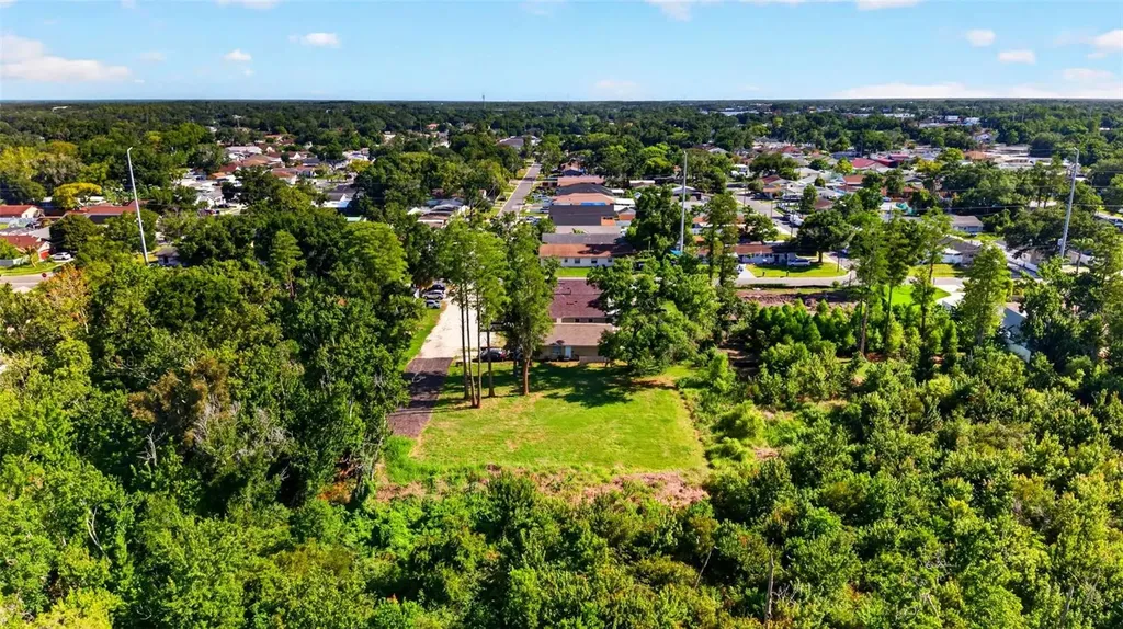 6817 N Blossom Avenue Tampa FL 33614