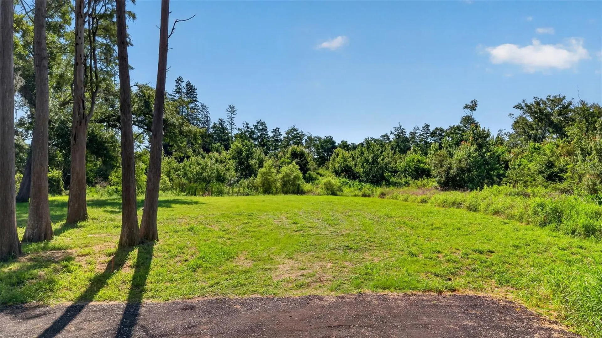 6817 N Blossom Avenue Tampa FL 33614