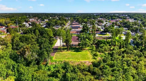6817 N Blossom Avenue Tampa FL 33614