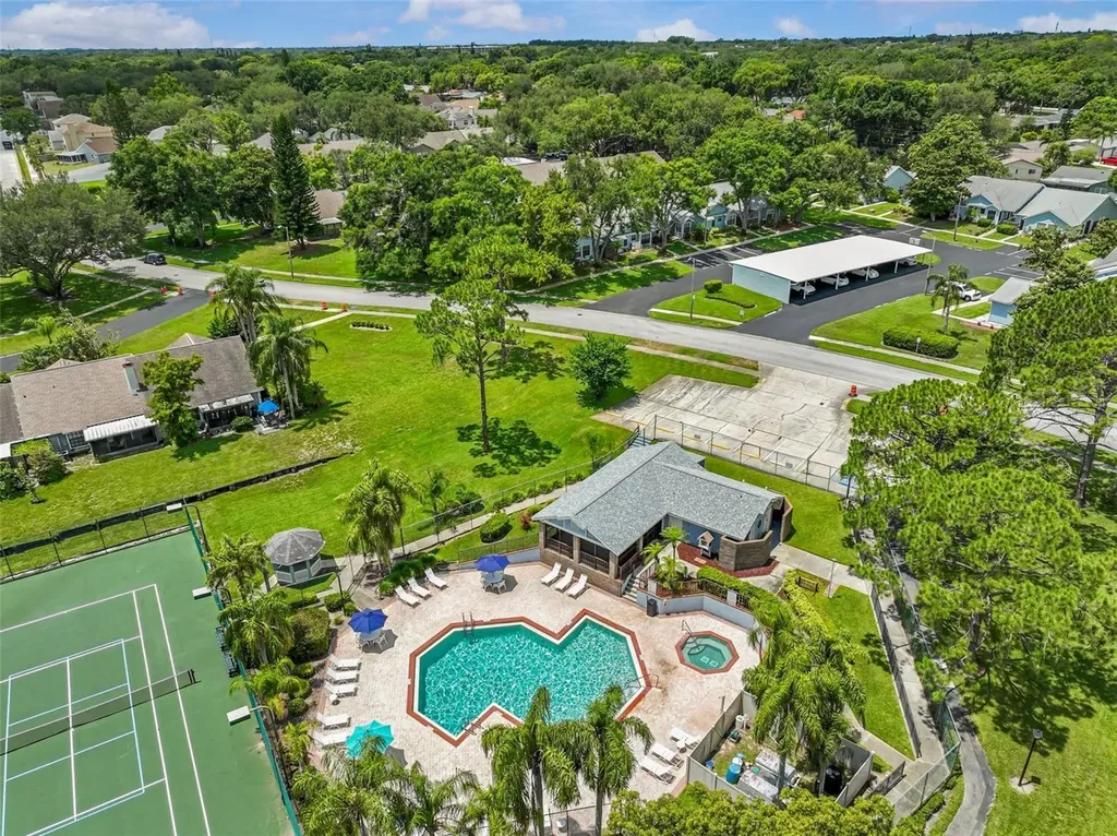 3224 Montrose Circle Palm Harbor FL 34684