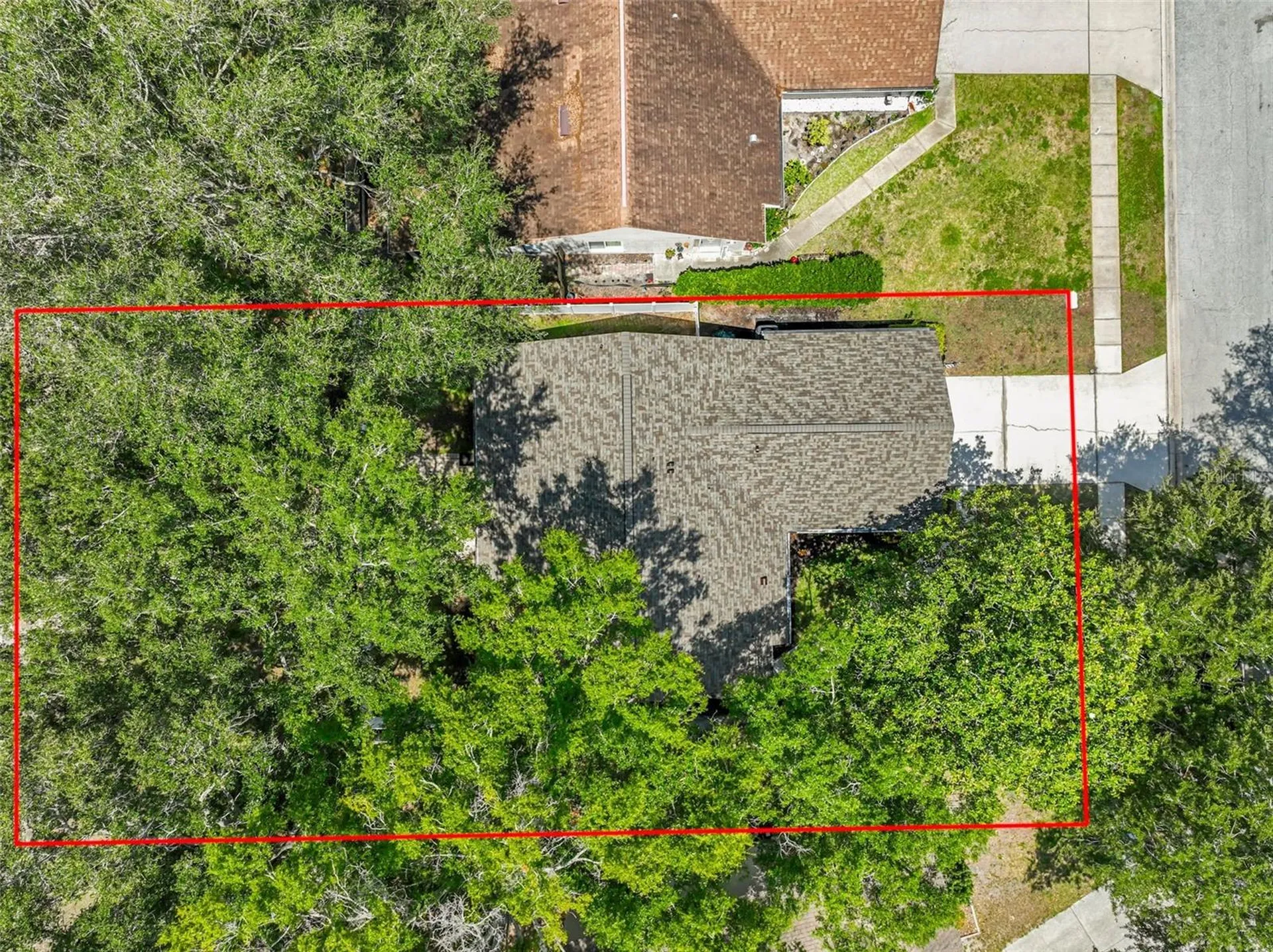 3224 Montrose Circle Palm Harbor FL 34684