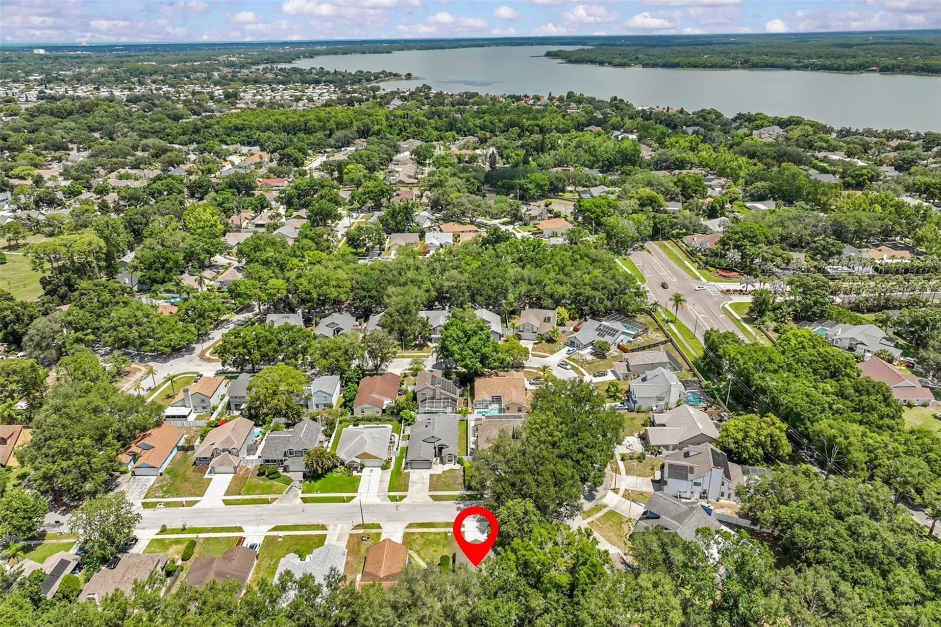 3224 Montrose Circle Palm Harbor FL 34684
