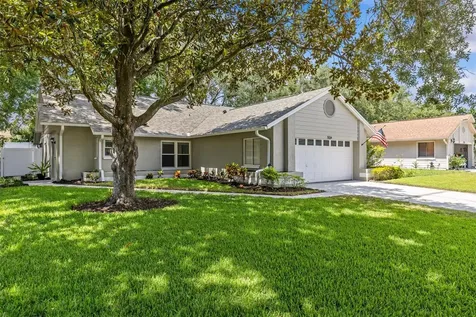 3224 Montrose Circle Palm Harbor FL 34684