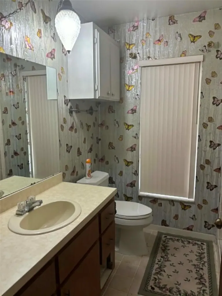 919 Cr 482d Lake Panasoffkee FL 33538