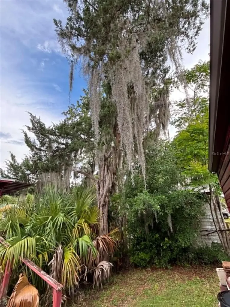 919 Cr 482d Lake Panasoffkee FL 33538
