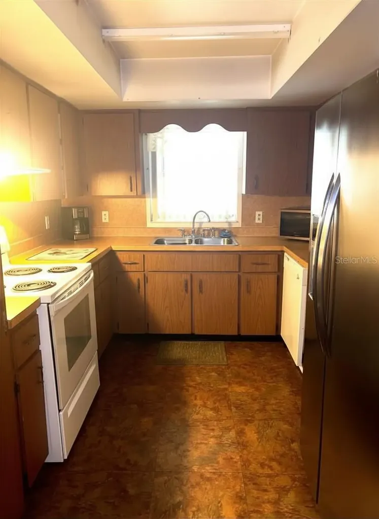 919 Cr 482d Lake Panasoffkee FL 33538