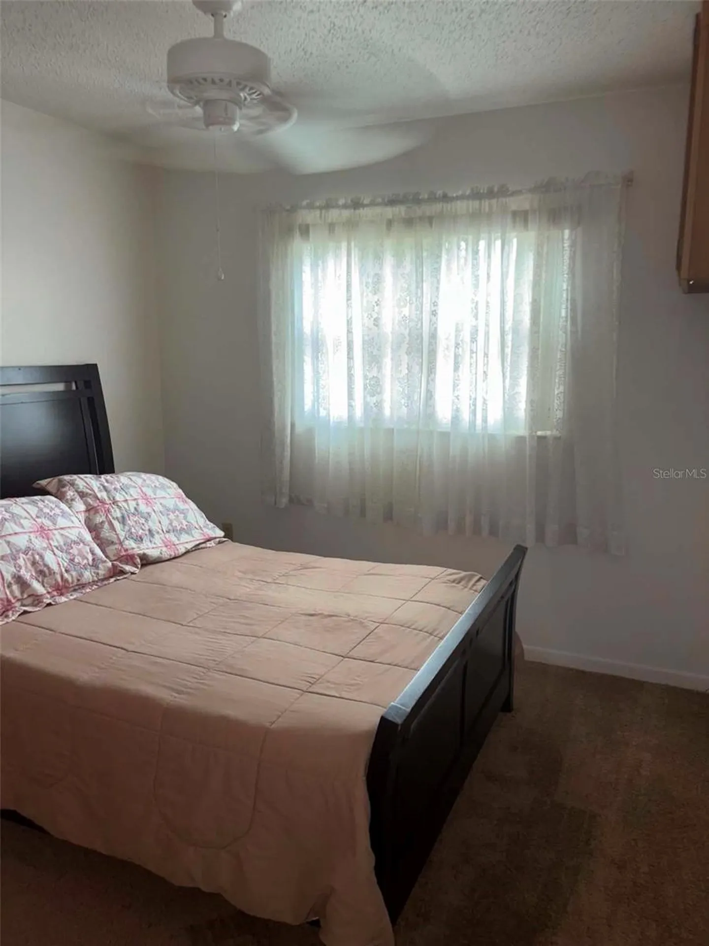 919 Cr 482d Lake Panasoffkee FL 33538
