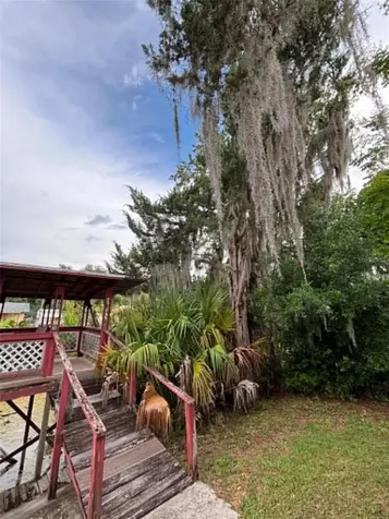 919 Cr 482d Lake Panasoffkee FL 33538