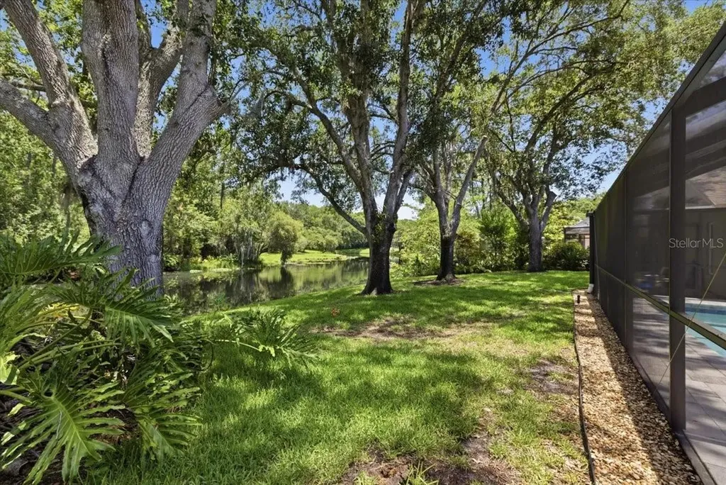 4703 Devonshire Boulevard Palm Harbor FL 34685