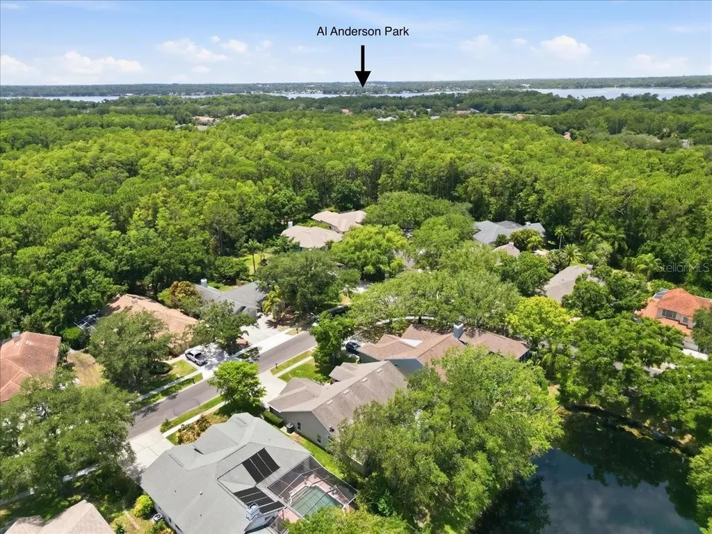 4703 Devonshire Boulevard Palm Harbor FL 34685