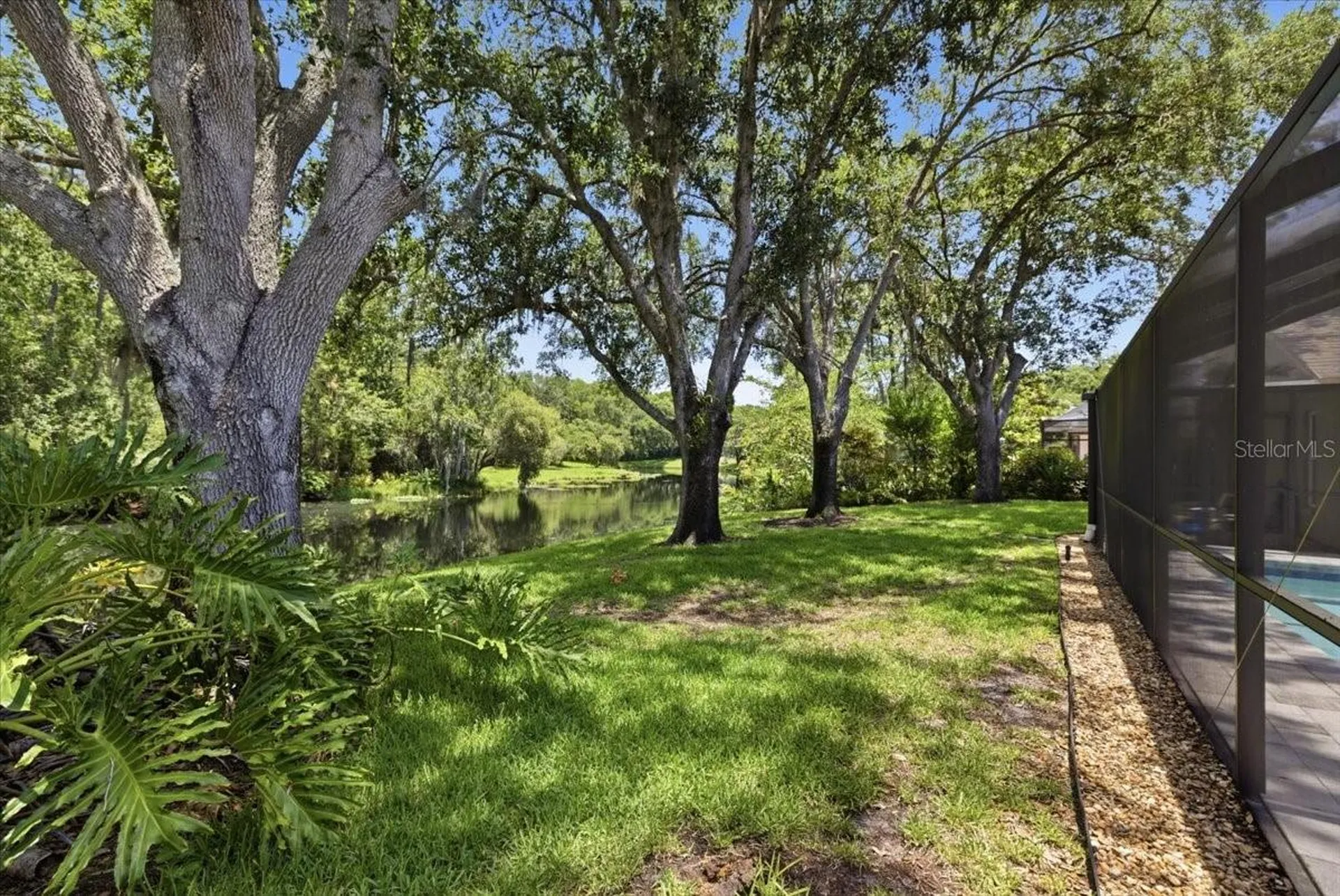 4703 Devonshire Boulevard Palm Harbor FL 34685
