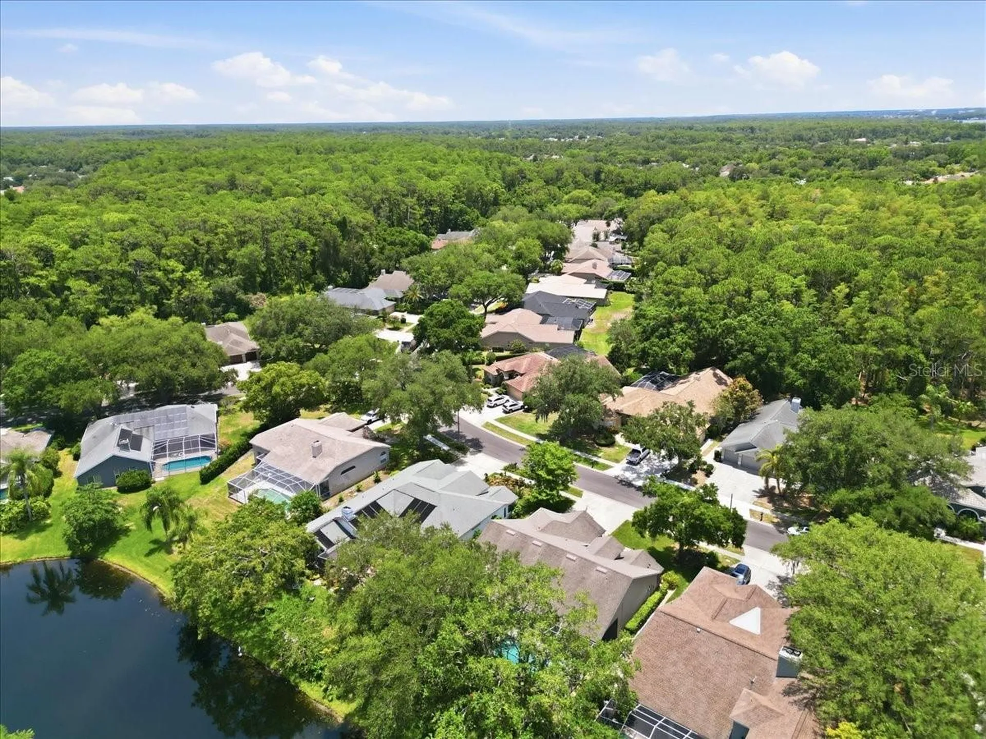 4703 Devonshire Boulevard Palm Harbor FL 34685