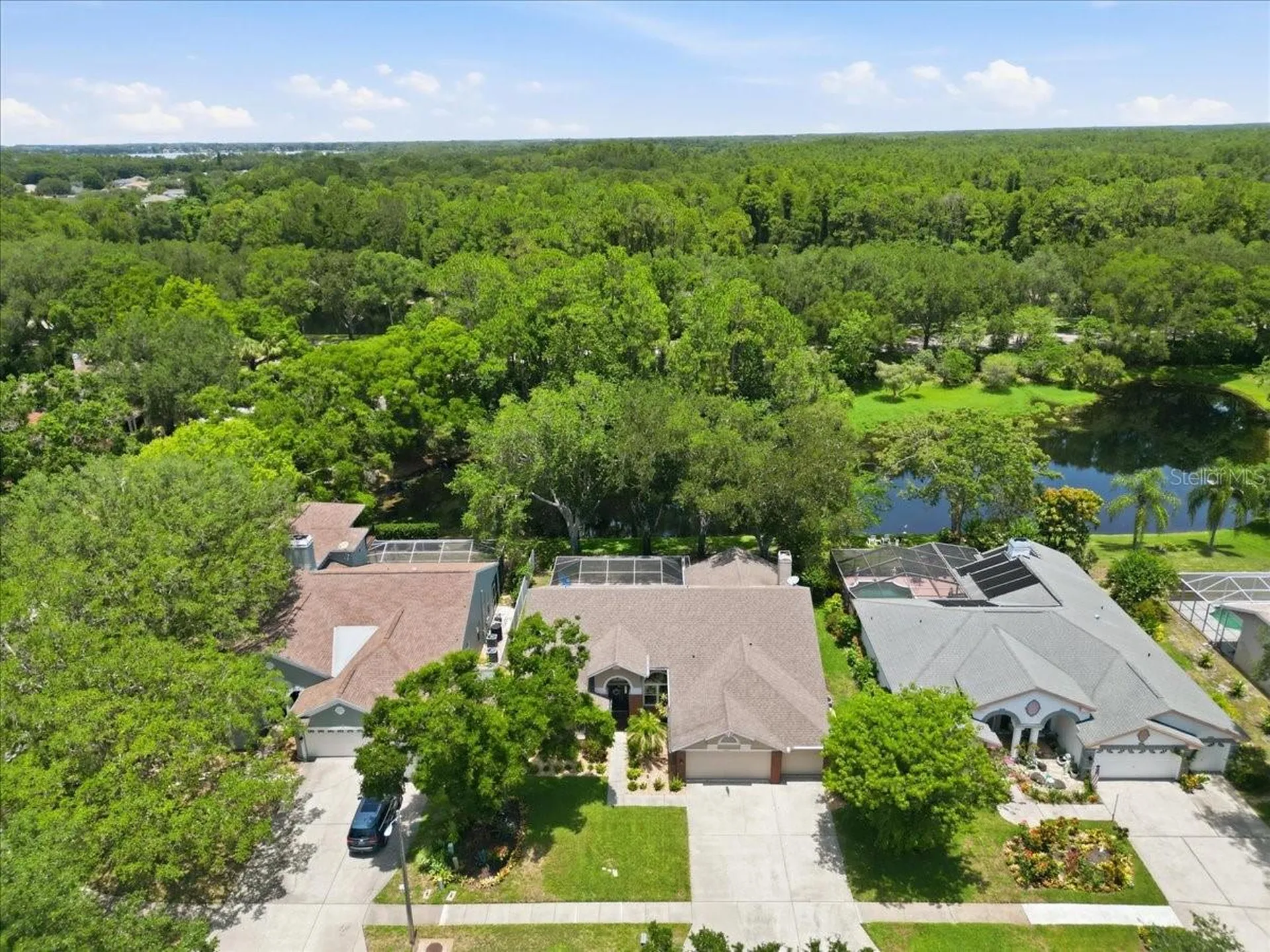 4703 Devonshire Boulevard Palm Harbor FL 34685