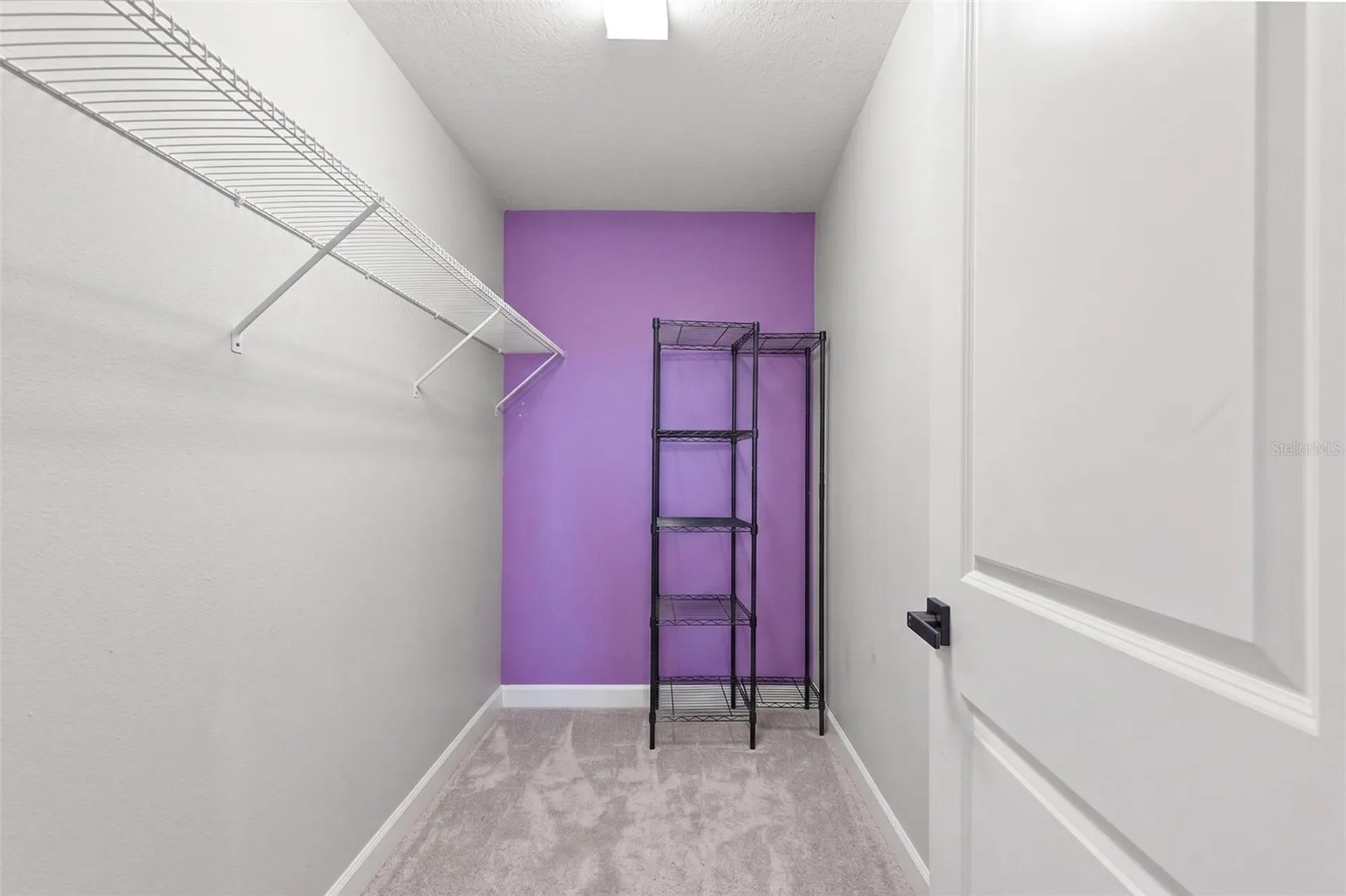 10231 Count Fleet Drive Ruskin FL 33573