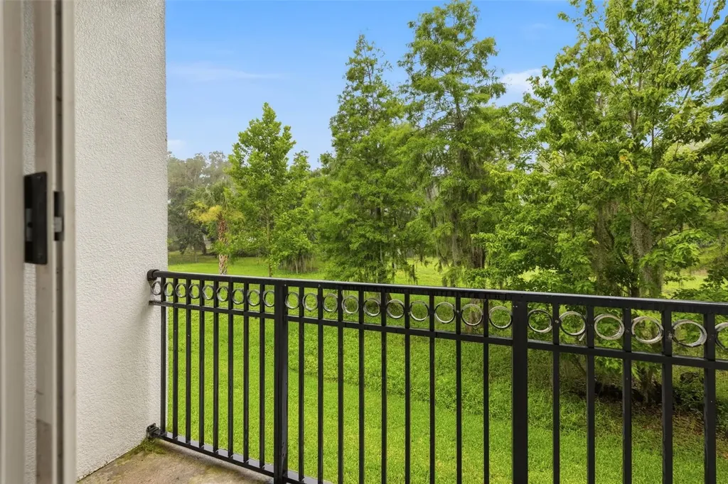 11516 Bellamar Street Tampa FL 33637