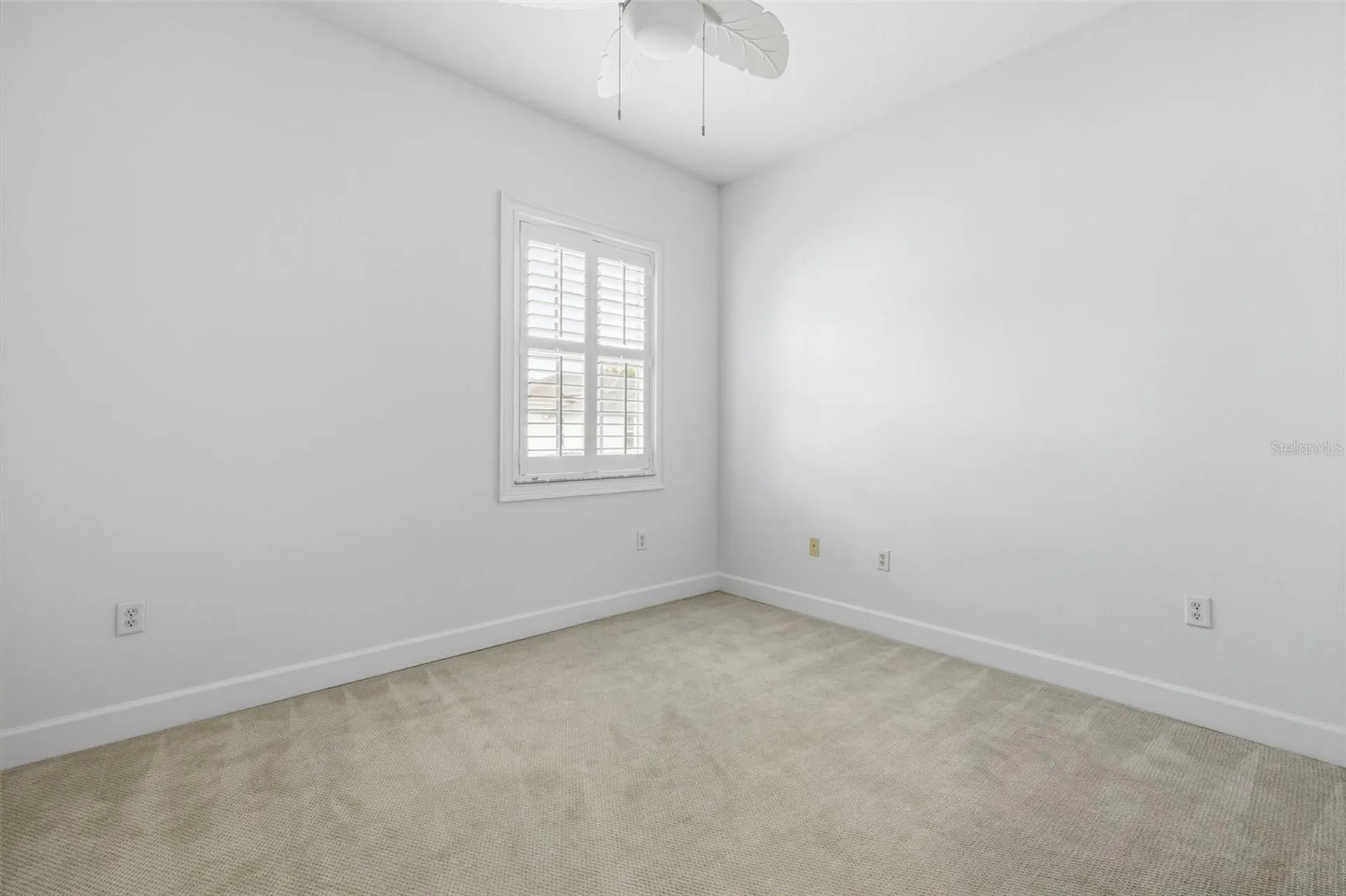 11516 Bellamar Street Tampa FL 33637