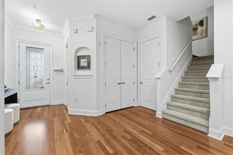 11516 Bellamar Street Tampa FL 33637