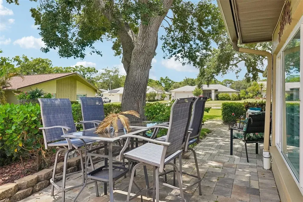 3259 Hilary Circle Palm Harbor FL 34684
