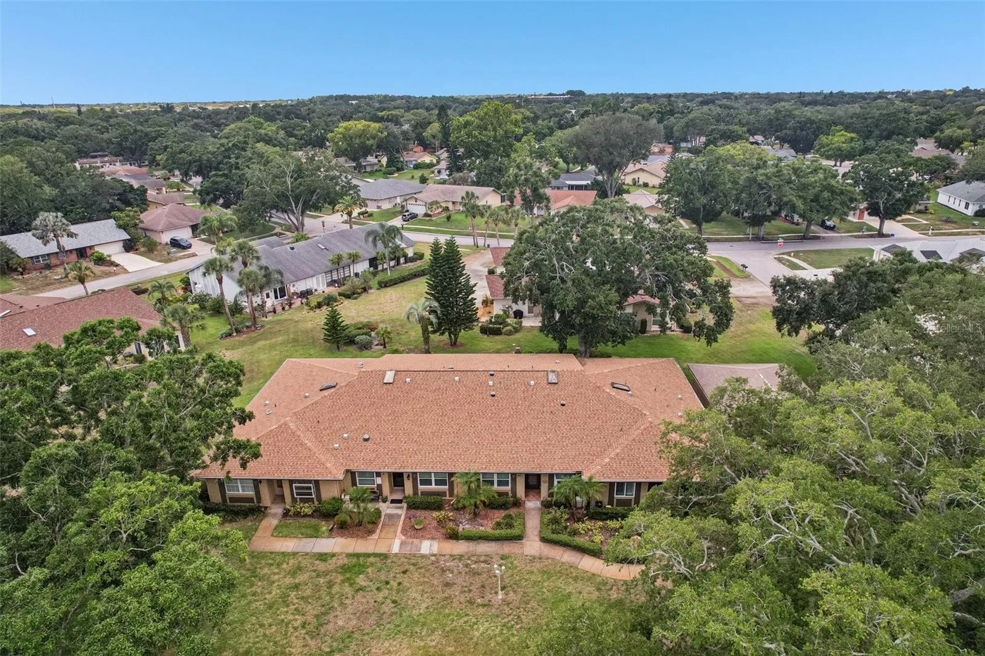3259 Hilary Circle Palm Harbor FL 34684