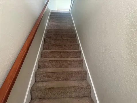 1055 Normandy Trace Road Tampa FL 33602