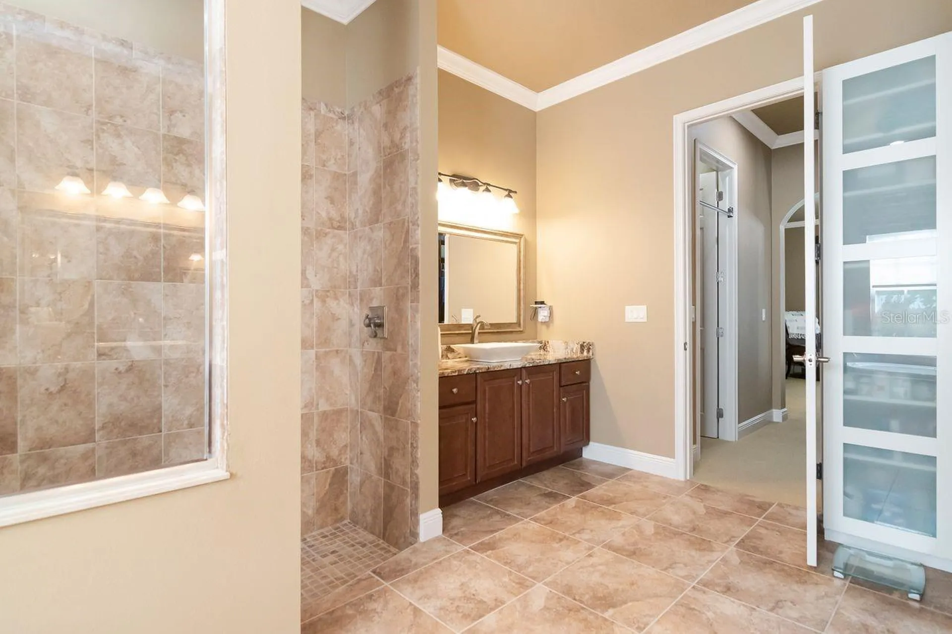 3815 Misty Willow Way Lutz FL 33558