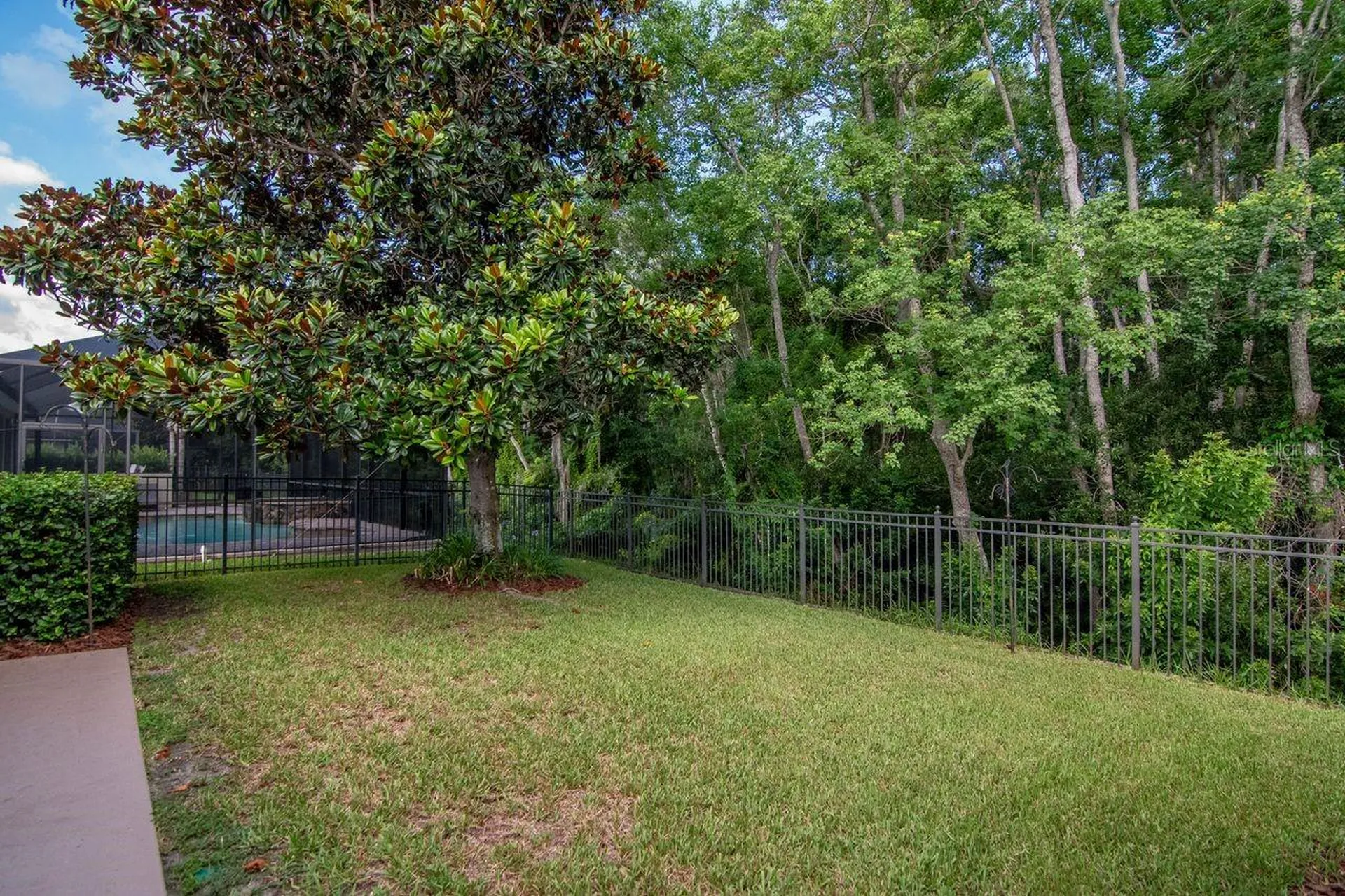 3815 Misty Willow Way Lutz FL 33558