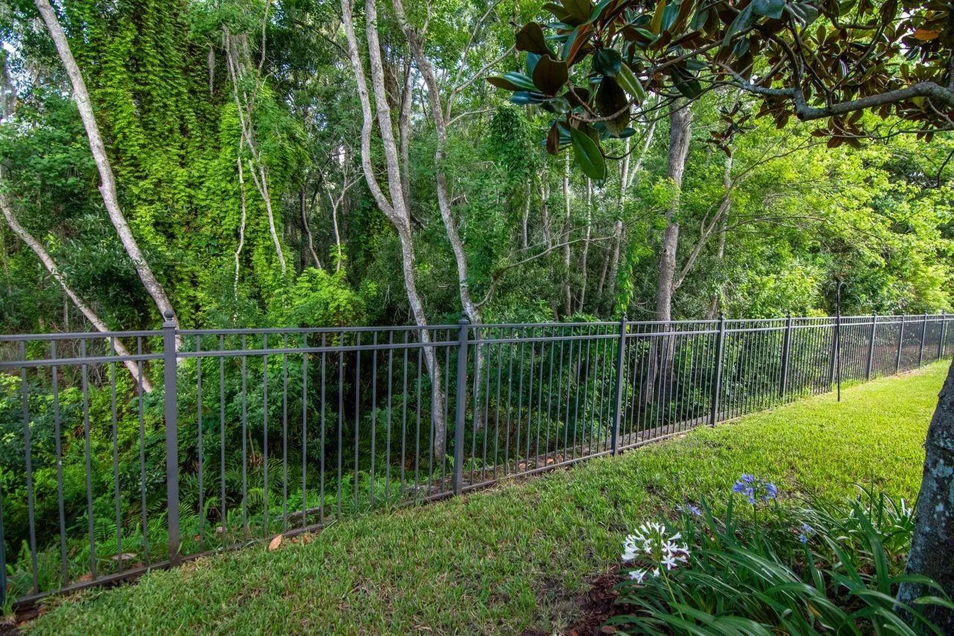3815 Misty Willow Way Lutz FL 33558