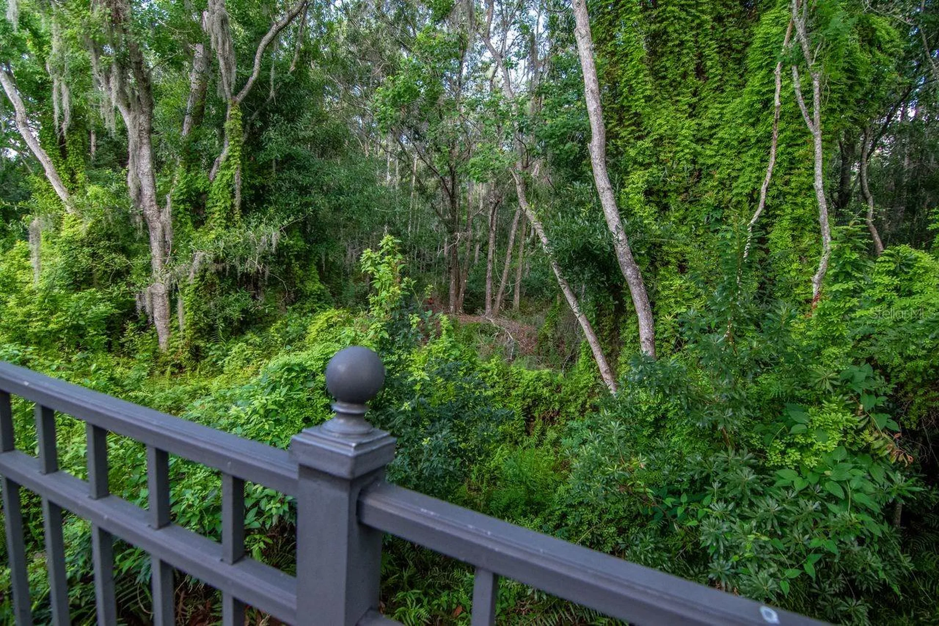 3815 Misty Willow Way Lutz FL 33558