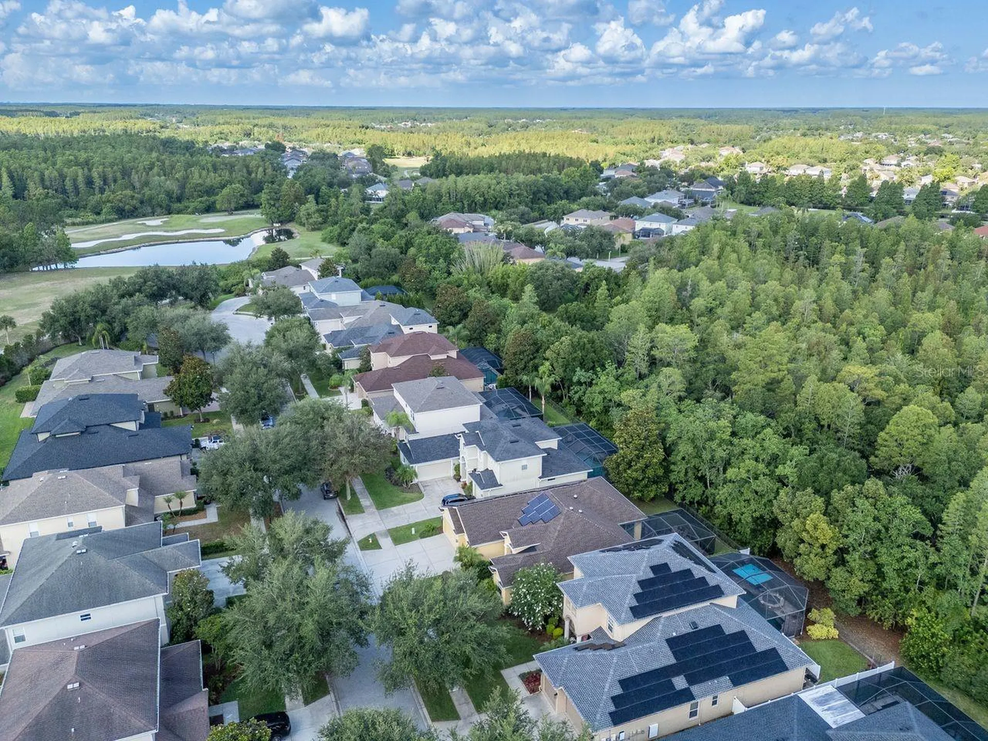 3815 Misty Willow Way Lutz FL 33558