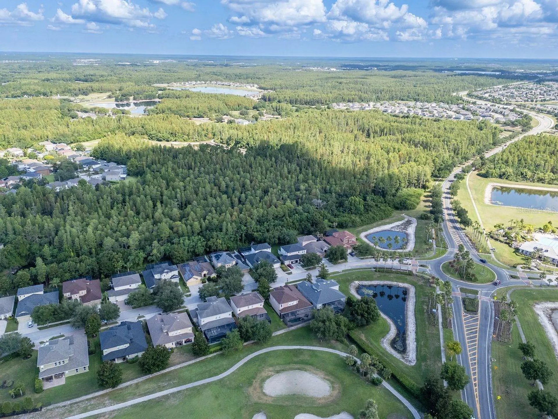 3815 Misty Willow Way Lutz FL 33558