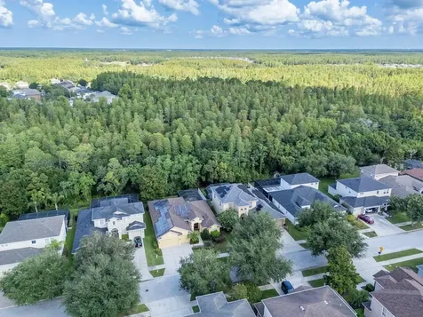 3815 Misty Willow Way Lutz FL 33558