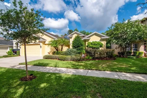 3815 Misty Willow Way Lutz FL 33558