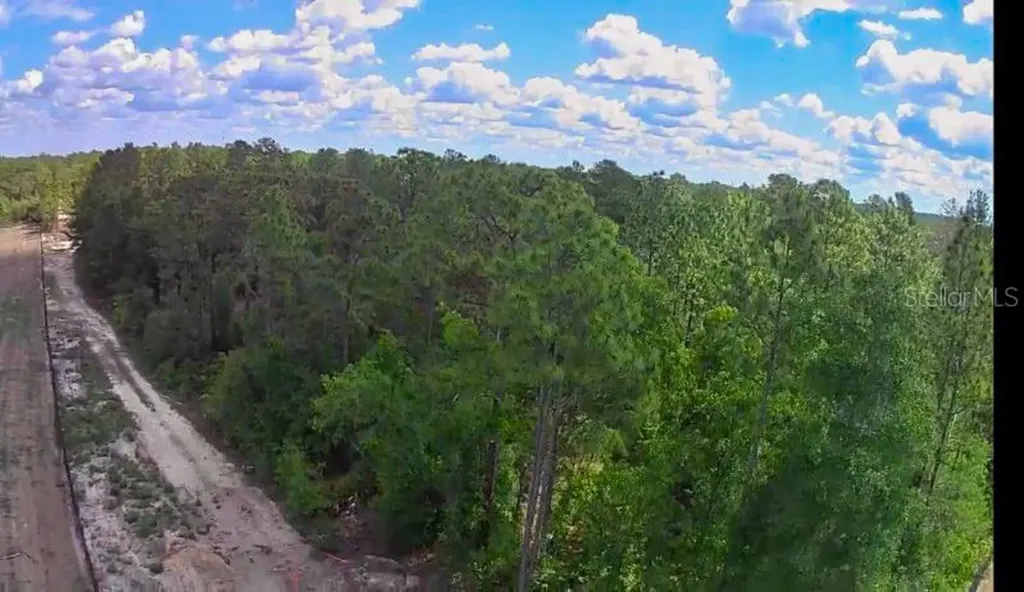 3476 N Iguana Path Crystal River FL 34428