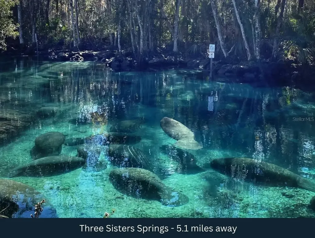 3476 N Iguana Path Crystal River FL 34428