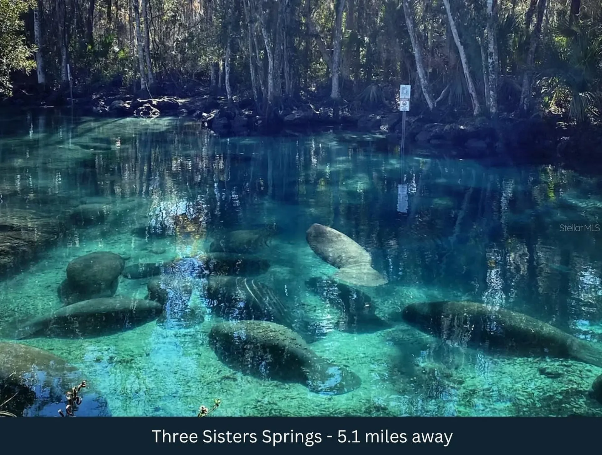3476 N Iguana Path Crystal River FL 34428