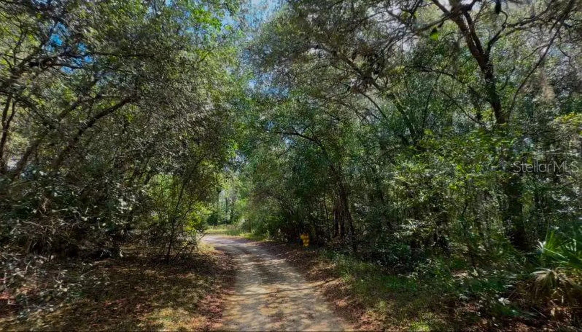 3476 N Iguana Path Crystal River FL 34428