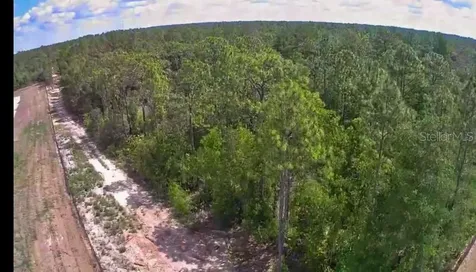 3476 N Iguana Path Crystal River FL 34428