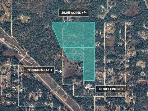 3476 N Iguana Path Crystal River FL 34428
