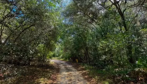 3476 N Iguana Path Crystal River FL 34428